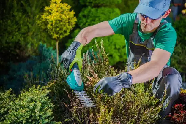 landscaping services Portageville